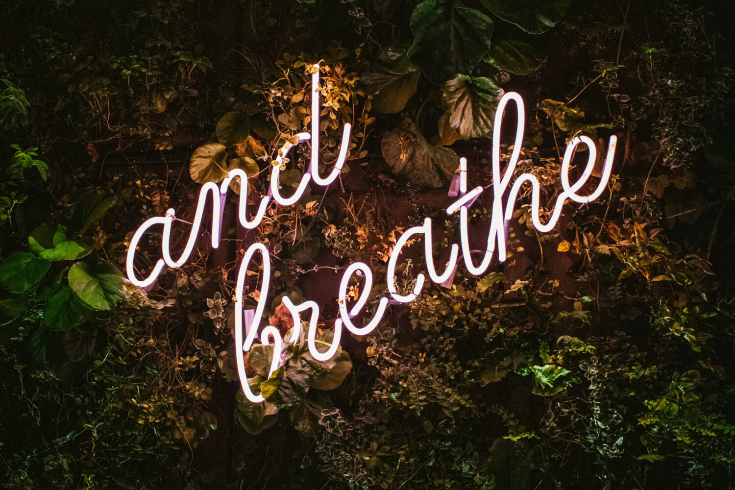 Neonletters "and breathe" schijnen op een achtergrond van groene planten.