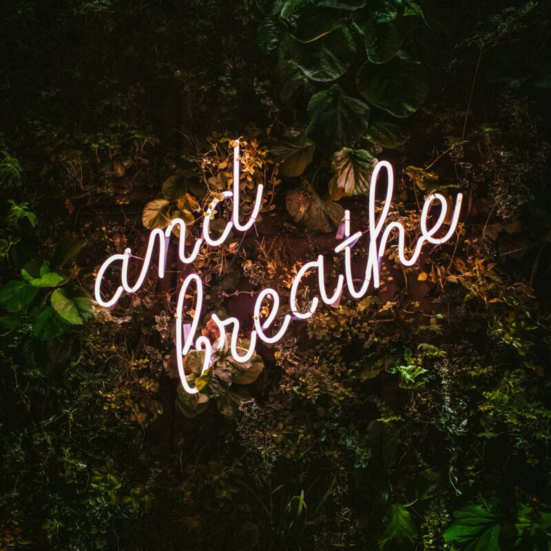 Neonletters "and breathe" schijnen op een achtergrond van groene planten.