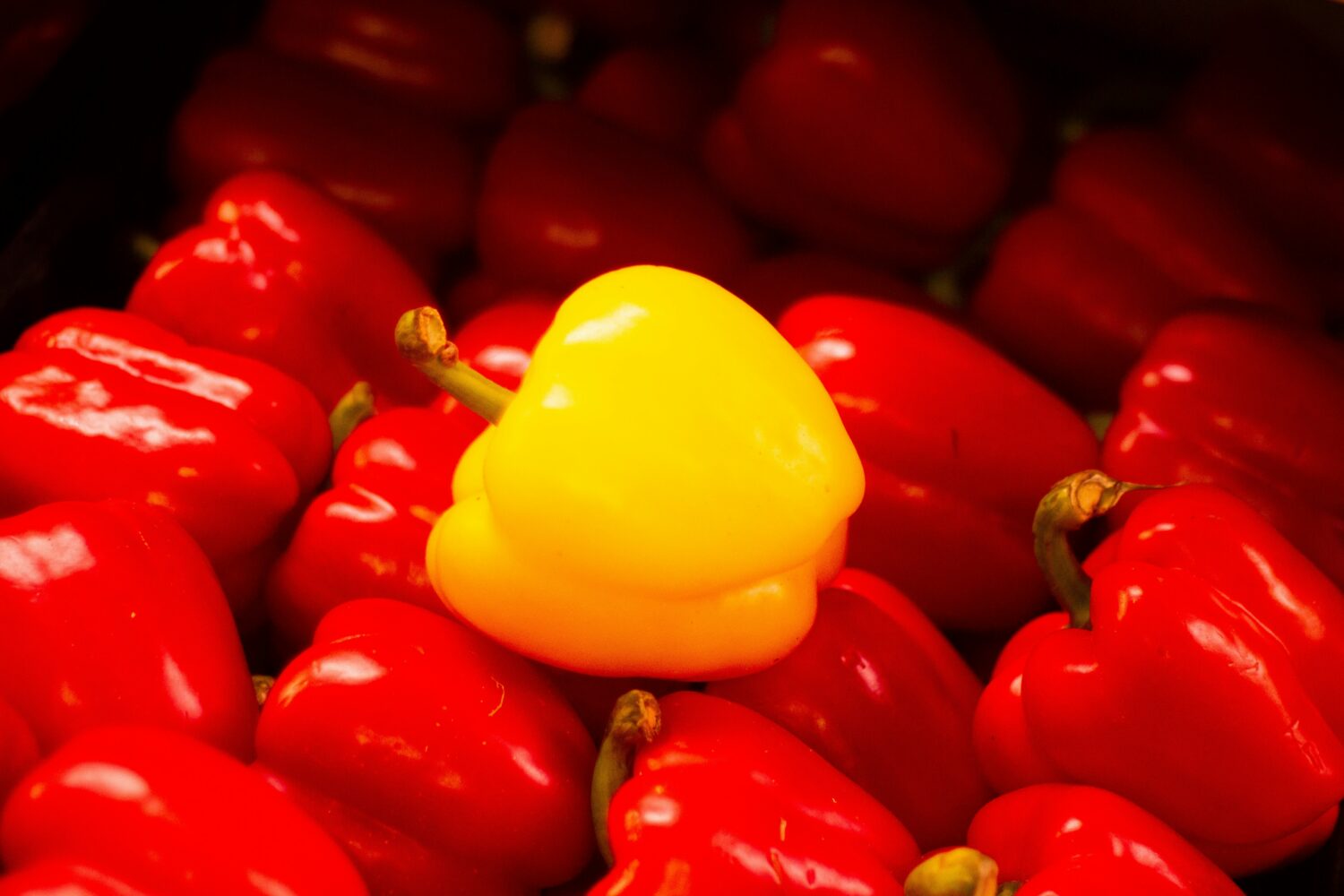 Een gele paprika ligt tussen rode paprika's, illustrerend een frisse uitstraling.