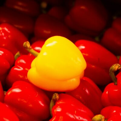 Een gele paprika ligt tussen rode paprika's, illustrerend een frisse uitstraling.